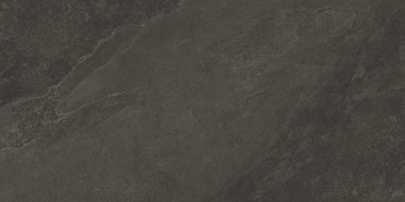 НФ-00093304